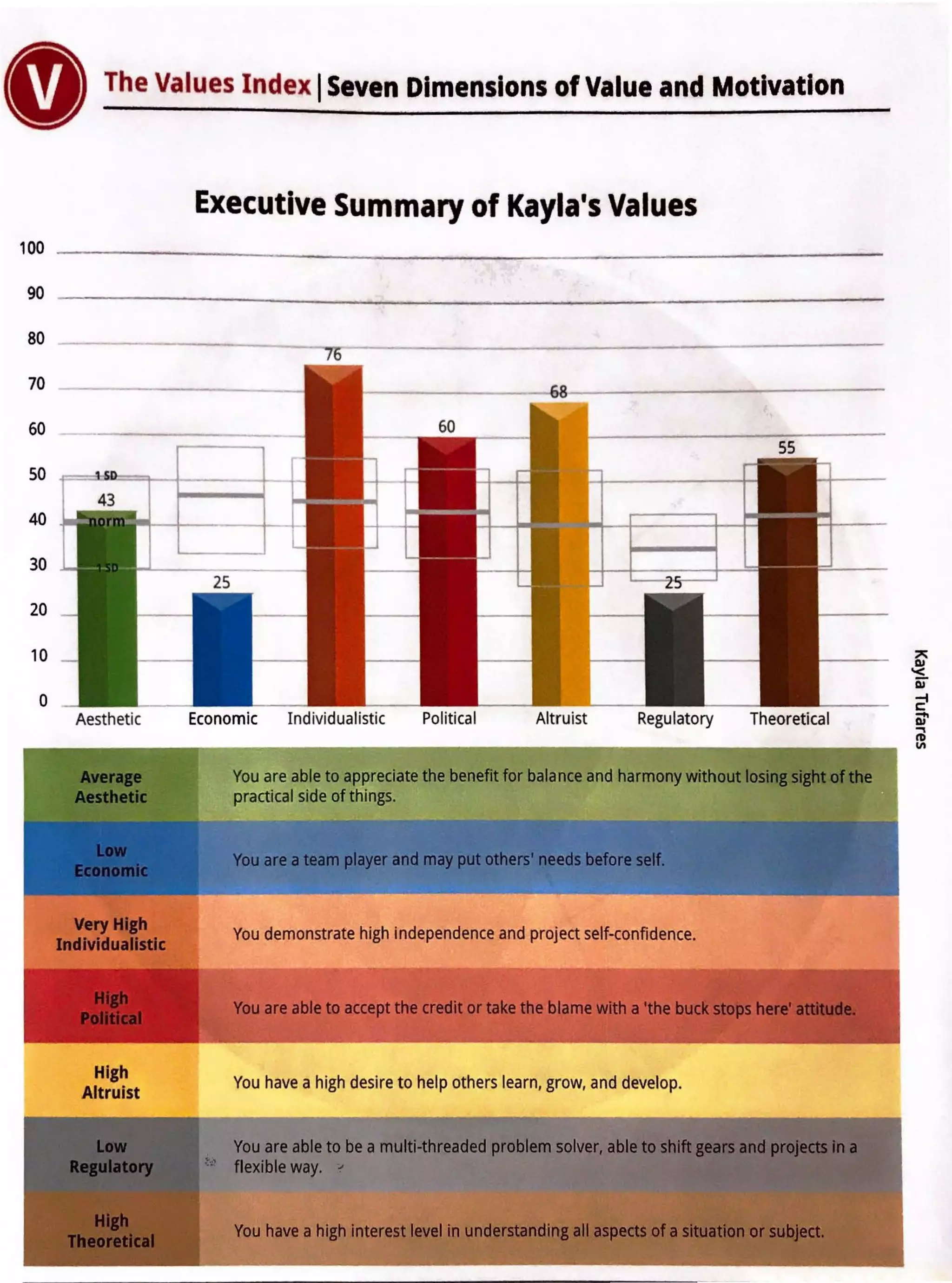 Values index assessment summary report PDF