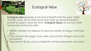 Values of geography | PPTX