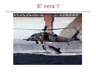 E’ vera ?
 