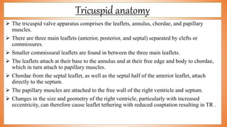 Tricuspid anatomy
 The tricuspid valve apparatus comprises the leaflets, annulus, chordae, and papillary
muscles.
 There are three main leaflets (anterior, posterior, and septal) separated by clefts or
commissures.
 Smaller commissural leaflets are found in between the three main leaflets.
 The leaflets attach at their base to the annulus and at their free edge and body to chordae,
which in turn attach to papillary muscles.
 Chordae from the septal leaflet, as well as the septal half of the anterior leaflet, attach
directly to the septum.
 The papillary muscles are attached to the free wall of the right ventricle and septum.
 Changes in the size and geometry of the right ventricle, particularly with increased
eccentricity, can therefore cause leaflet tethering with reduced coaptation resulting in TR .
 