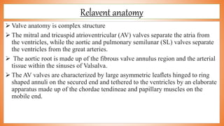 Relavent anatomy
 Valve anatomy is complex structure
 The mitral and tricuspid atrioventricular (AV) valves separate the atria from
the ventricles, while the aortic and pulmonary semilunar (SL) valves separate
the ventricles from the great arteries.
 The aortic root is made up of the fibrous valve annulus region and the arterial
tissue within the sinuses of Valsalva.
 The AV valves are characterized by large asymmetric leaflets hinged to ring
shaped annuli on the secured end and tethered to the ventricles by an elaborate
apparatus made up of the chordae tendineae and papillary muscles on the
mobile end.
 