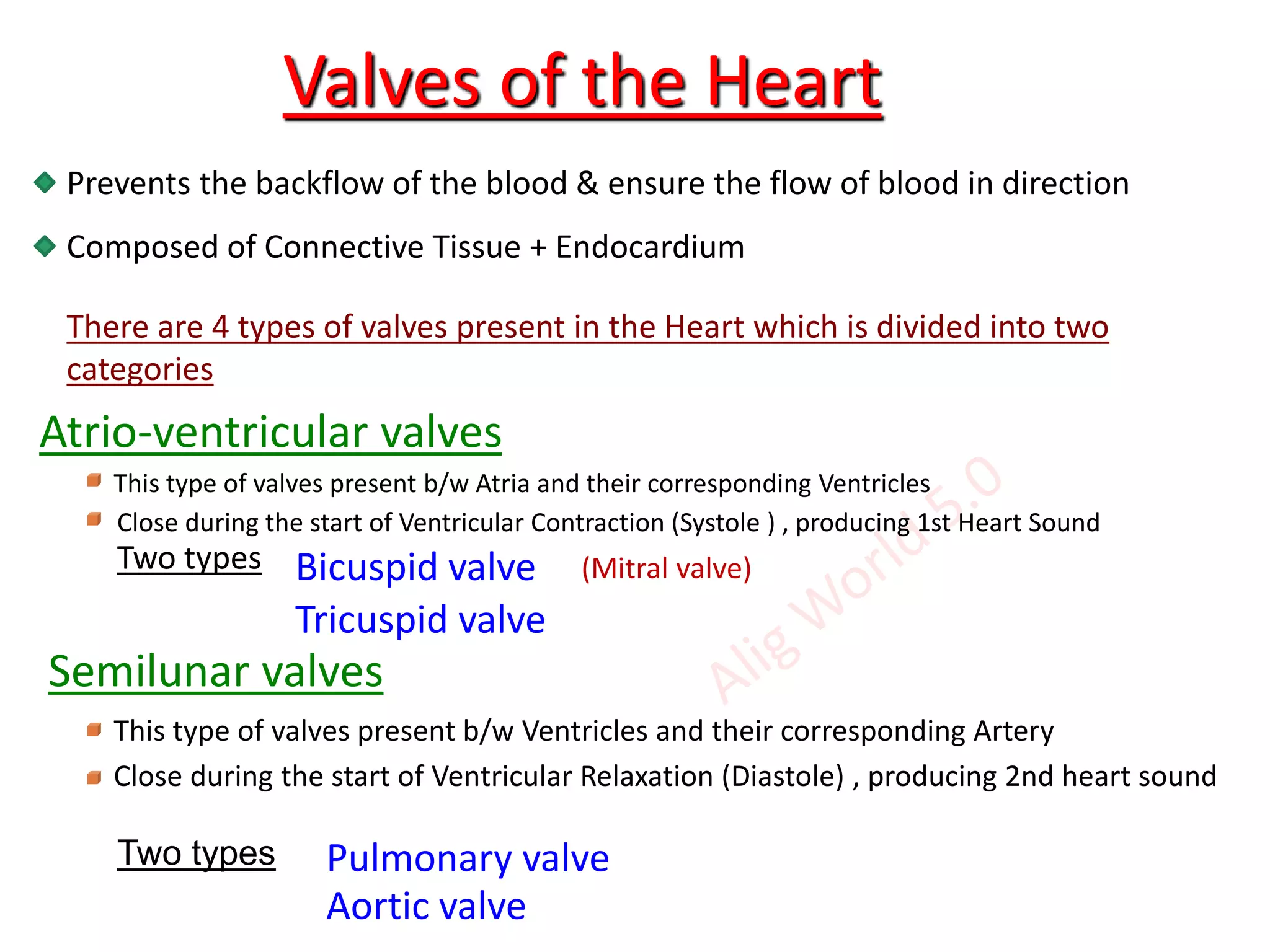 Valves of the Heart PPT
