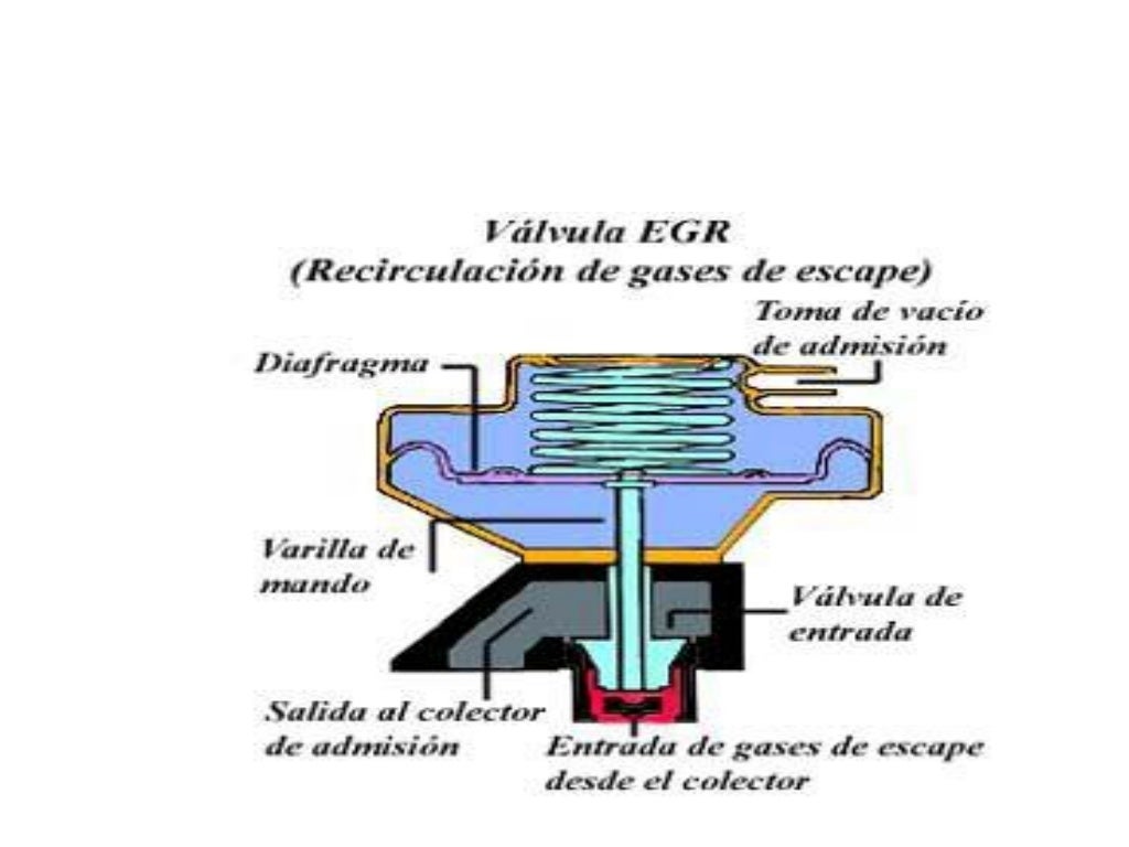 Diagrama Valvula Egr Electronica