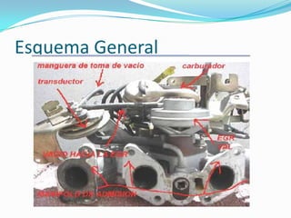 Esquema General