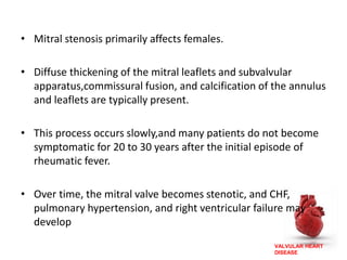 VALVULAR HEART
DISEASE
• Mitral stenosis primarily affects females.
• Diffuse thickening of the mitral leaflets and subvalvular
apparatus,commissural fusion, and calcification of the annulus
and leaflets are typically present.
• This process occurs slowly,and many patients do not become
symptomatic for 20 to 30 years after the initial episode of
rheumatic fever.
• Over time, the mitral valve becomes stenotic, and CHF,
pulmonary hypertension, and right ventricular failure may
develop
 