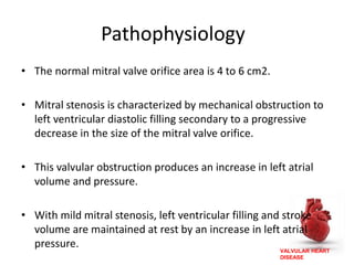 VALVULAR HEART
DISEASE
Pathophysiology
• The normal mitral valve orifice area is 4 to 6 cm2.
• Mitral stenosis is characterized by mechanical obstruction to
left ventricular diastolic filling secondary to a progressive
decrease in the size of the mitral valve orifice.
• This valvular obstruction produces an increase in left atrial
volume and pressure.
• With mild mitral stenosis, left ventricular filling and stroke
volume are maintained at rest by an increase in left atrial
pressure.
 