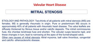 MITRAL STENOSIS
ETIOLOGY AND PATHOLOGY: Two-thirds of all patients with mitral stenosis (MS) are
females. MS is generally rheumatic in origin. Pure or predominant MS occurs in
approximately 40% of all patients with rheumatic heart disease. The valve leaflets are
diffusely thickened by fibrous tissue and/or calcific deposits. The mitral commissures
fuse, the chordae tendineae fuse and shorten. The valvular cusps become rigid, and
these changes in turn, lead to narrowing at the apex of the funnel-shaped valve.
Other rare causes of mitral stenosis: Atrial myxoma, ball valve thrombus, congenital
and calcific- atherosclerortic disease.
Valvular Heart Disease
 