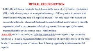 MITRAL REGURGITATION
• ETIOLOGY: Chronic rheumatic heart disease is the cause of severe mitral regurgitation
(MR). -MR also may occur as a congenital anomaly. - MR may occur in patients with
infarction involving the base of a papillary muscle. - MR may occur with marked left
ventricular dilatation. Massive calcification of the mitral annulus of unknown cause, presumably
degenerative, which occurs most commonly inelderly women. Systemic lupus erythematosus,
rheumatoid arthritis, are less common cause. -Mitral prolapse.
Acute MR occur 1- secondary to infective endocarditis involving the cusps or chordae
tendineae, 2- in acute myocardial infarction with rupture of a papillary muscle or one of its
heads, 3- as a consequence of trauma, 4- or following apparently spontaneous chordal
rupture.
 