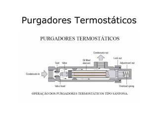 Purgadores Termostáticos
 