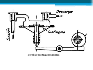 Bombas positivas rotatorias
 