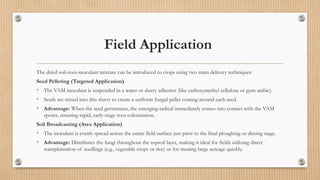 Field Application
The dried soil-root-inoculant mixture can be introduced to crops using two main delivery techniques:
Seed Pelleting (Targeted Application)
• The VAM inoculant is suspended in a water or slurry adhesive (like carboxymethyl cellulose or gum arabic).
• Seeds are mixed into this slurry to create a uniform fungal pellet coating around each seed.
• Advantage: When the seed germinates, the emerging radical immediately comes into contact with the VAM
spores, ensuring rapid, early-stage root colonization.
Soil Broadcasting (Area Application)
• The inoculant is evenly spread across the entire field surface just prior to the final ploughing or discing stage.
• Advantage: Distributes the fungi throughout the topsoil layer, making it ideal for fields utilizing direct
transplantation of seedlings (e.g., vegetable crops or rice) or for treating large acreage quickly.
 