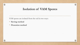Isolation of VAM Spores
VAM spores are isolated from the soil in two ways:
• Sieving method
• Floatation method
 