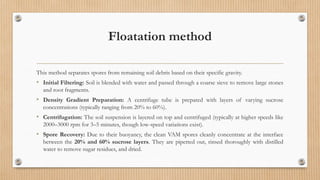 Floatation method
This method separates spores from remaining soil debris based on their specific gravity.
• Initial Filtering: Soil is blended with water and passed through a coarse sieve to remove large stones
and root fragments.
• Density Gradient Preparation: A centrifuge tube is prepared with layers of varying sucrose
concentrations (typically ranging from 20% to 60%).
• Centrifugation: The soil suspension is layered on top and centrifuged (typically at higher speeds like
2000–3000 rpm for 3–5 minutes, though low-speed variations exist).
• Spore Recovery: Due to their buoyancy, the clean VAM spores cleanly concentrate at the interface
between the 20% and 60% sucrose layers. They are pipetted out, rinsed thoroughly with distilled
water to remove sugar residues, and dried.
 