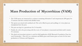 Mass Production of Mycorrhizae (VAM)
• The VAM spores are immersed in a solution containing chloramin-T and streptomycin (200 ppm) for
15 minutes and then washed with distilled water.
• The spores are mixed with sterilized soil. The soil is filled in pots and seedlings of a host plant are
transplanted into the pots.
• The pots are kept in a greenhouse for 3–4 months.
• Finally, the soil in the pots along with the roots of host plants is macerated and dried until it attains
5% moisture.
• The dried soil–inoculant mixture is used for field application. BAIF Research Foundation, Pune has
used Vermiculite + Peat (4:1) as a substrate and Bahia grass and Guinea grass as hosts for the mass
production of Glomus and Gigaspora.
 