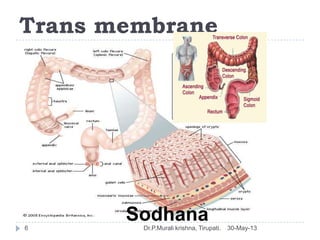 Trans membrane
30-May-13Dr.P.Murali krishna, Tirupati.6
Sodhana
 
