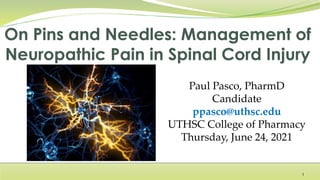 Paul Pasco, PharmD
Candidate
ppasco@uthsc.edu
UTHSC College of Pharmacy
Thursday, June 24, 2021
1
 