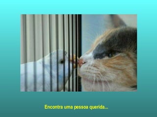 Encontra uma pessoa querida...   