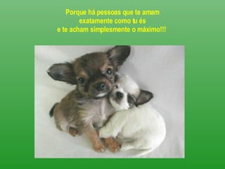 Porque há pessoas que te amam exatamente como tu és e te acham simplesmente o máximo!!!  