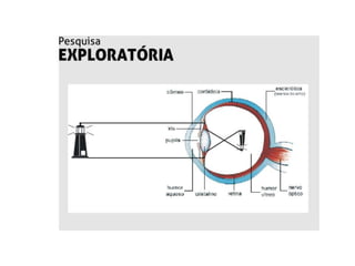 Semaforo Audiovisual