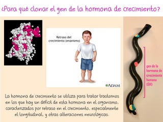 ¿Para qué clonar el gen de la hormona de crecimiento?
gen de la
hormona de
crecimiento
humana
(GH)
La hormona de crecimiento se utiliza para tratar trastornos
en los que hay un déficit de esta hormona en el organismo,
caracterizados por retraso en el crecimiento, especialmente
el longitudinal, y otras alteraciones neurológicas.
 