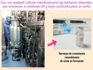 Solo nos quedará cultivar industrialmente las bacterias obtenidas,
que comiencen a sintetizar GH y luego purificarla para su venta
http://www.china-bioreactor.com/sp/product/234.html
Hormona de crecimiento
recombinante
de venta en farmacias
 