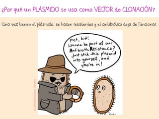 ¿Por qué un PLÁSMIDO se usa como VECTOR de CLONACIÓN?
Una vez tienen el plásmido, se hacen resistentes y el antibiótico deja de funcionar.
by@AntibioticsRise(Twitter)
 