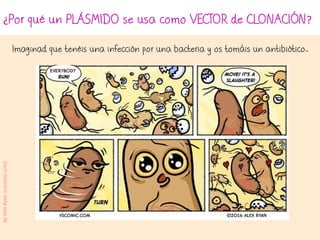 ¿Por qué un PLÁSMIDO se usa como VECTOR de CLONACIÓN?
Imaginad que tenéis una infección por una bacteria y os tomáis un antibiótico…
byAlexRyan(vscomic.com)
 