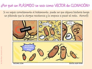 ¿Por qué un PLÁSMIDO se usa como VECTOR de CLONACIÓN?
Si no seguís correctamente el tratamiento, puede ser que alguna bacteria tenga
un plásmido que le otorgue resistencia y lo empiece a pasar al resto… ¡Horror!!!
byAlexRyan(vscomic.com)
 