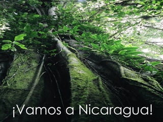 ¡Vamos a Nicaragua!
 