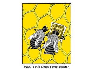 Pues…, donde estamos exactamente?
 