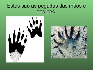 Estas são as pegadas das mãos e dos pés. 