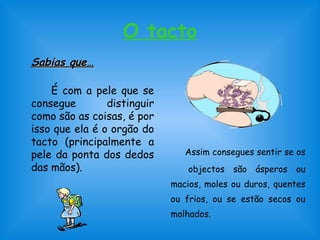 O tacto 
SSaabbiiaass qquuee…… 
É com a pele que se 
consegue distinguir 
como são as coisas, é por 
isso que ela é o orgão do 
tacto (principalmente a 
pele da ponta dos dedos 
das mãos). 
Assim consegues sentir se os 
objectos são ásperos ou 
macios, moles ou duros, quentes 
ou frios, ou se estão secos ou 
molhados. 
 