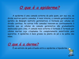 O que é a epiderme? 
A epiderme é uma camada externa da pele quem, por sua vez, se 
divide noutras quatro camadas. A mais interna, a camada germinativa ou 
epitélio de Malpighi (estrato germinativo), é formada por células em 
divisão contínua. As outras três camadas renovam-se continuamente à 
medida que as células da camada germinativa são gradualmente 
deslocadas para cima. A camada mais externa é formada é formada por 
células mortas cujo citoplasma foi completamente substituído pela 
queratina. A epiderme é mais grossa na planta do pé e na palma das 
mãos. 
O que é a derme? 
É um estrato de pele situado entre a epiderme e hipoderme. 
 