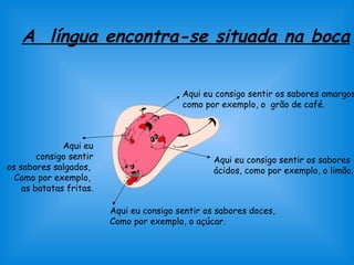 A língua encontra-se situada na boca 
Aqui eu consigo sentir os sabores amargos, 
como por exemplo, o grão de café. 
Aqui eu consigo sentir os sabores 
ácidos, como por exemplo, o limão. 
Aqui eu 
consigo sentir 
os sabores salgados, 
Como por exemplo, 
as batatas fritas. 
Aqui eu consigo sentir os sabores doces, 
Como por exemplo, o açúcar. 
 