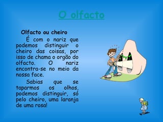 O olfacto 
Olfacto ou cheiro 
É com o nariz que 
podemos distinguir o 
cheiro das coisas, por 
isso de chama o orgão do 
olfacto. O nariz 
encontra-se no meio da 
nossa face. 
Sabias que se 
taparmos os olhos, 
podemos distinguir, só 
pelo cheiro, uma laranja 
de uma rosa! 
 
