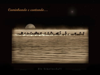 Caminhando e cantando… 