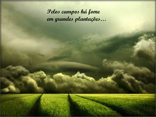 Pelos campos há fome  em grandes plantações… 