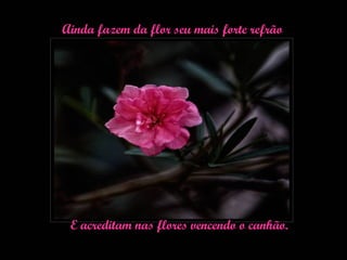 Ainda fazem da flor seu mais forte refrão E acreditam nas flores vencendo o canhão. 