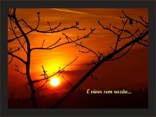 E viver sem razão... 