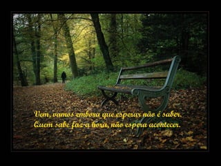 Vem, vamos embora que esperar não é saber. Quem sabe faz a hora, não espera acontecer. 