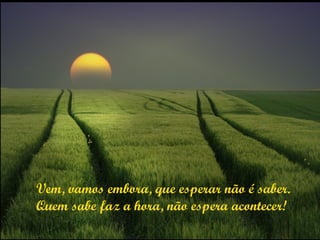 Vem, vamos embora, que esperar não é saber. Quem sabe faz a hora, não espera acontecer! 