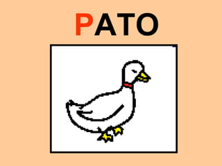 PATO
 
