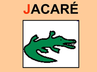 JACARÉ
 