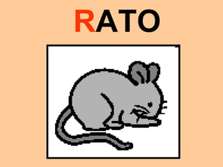 RATO
 