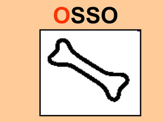 OSSO
 