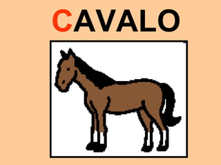 CAVALO
 