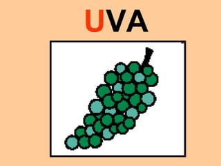 UVA
 