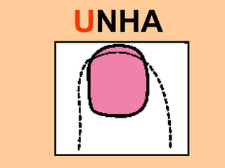 UNHA
 