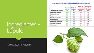 Ingredientes -
Lúpulo
AMARGOR e AROMA
 