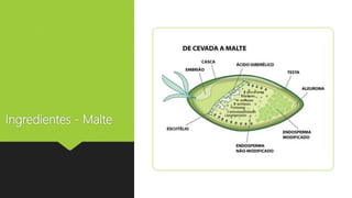 Ingredientes - Malte
 